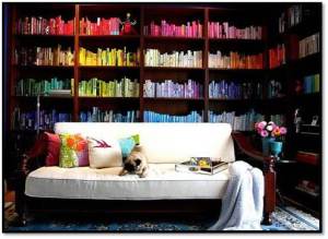 Colour-coded Dream Bookcase