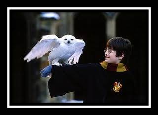 Harry and Hedwig