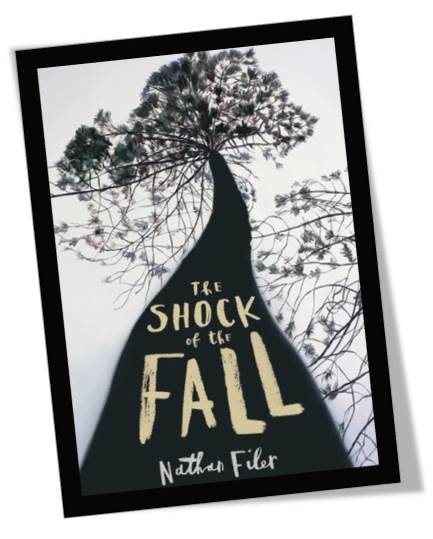 The Shock of the Fall Book Cover