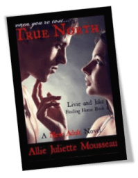 True North Book 1 Cover