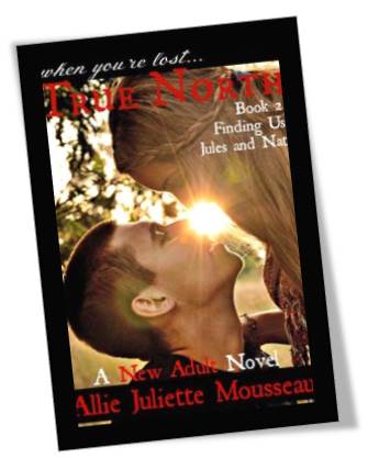 True North Finidng Us Book Cover