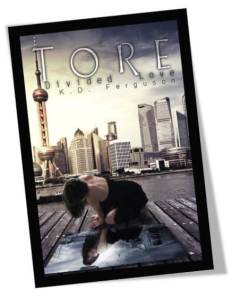 Tore Divided Love Book Cover