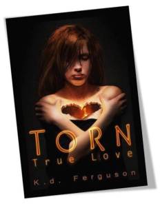 Torn True Love Book Cover