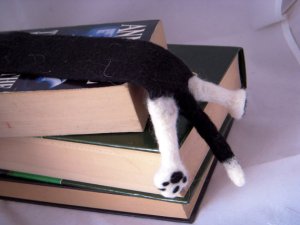 Cat SPLAT Bookmark
