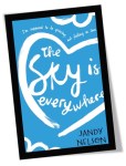The Sky Is Everywhere Book Cover