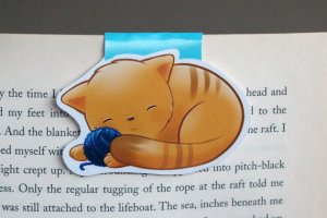 Sleeping Kitten Bookmark