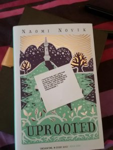 OTSPSecretSister Dani Reviews Book