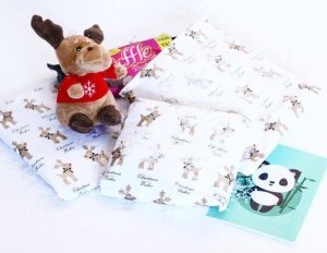 OTSPSecretSister December 2015