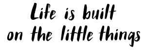 Life is built on the little things image