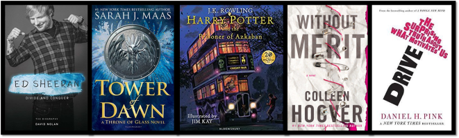 Amazon Book Purchases 2017